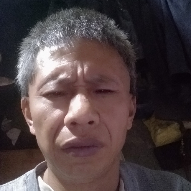 雪白倾心刺猬的照片