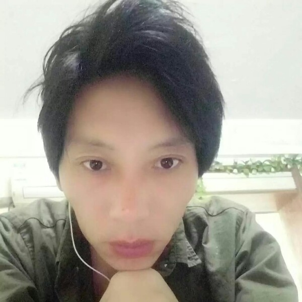 独自前行的小鸟的照片