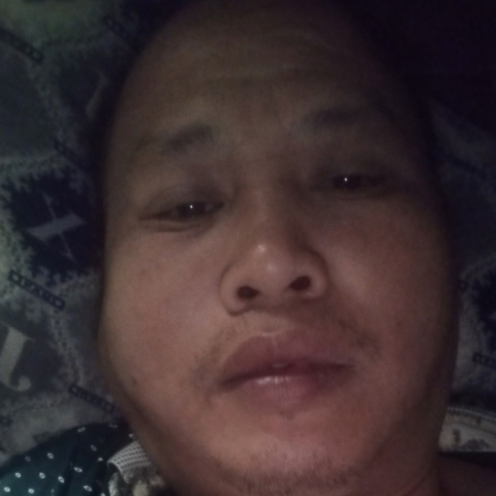 影子梦的照片