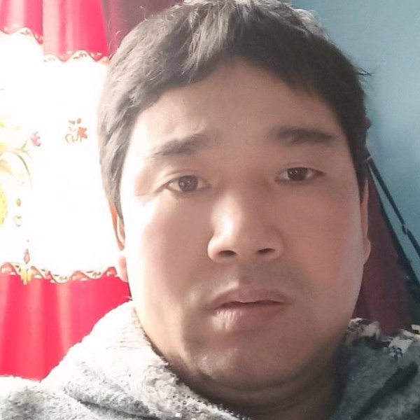 刺猬不解的照片