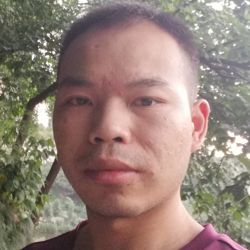 负责向小兔子的照片