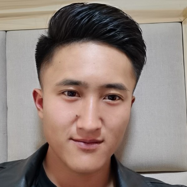 大雁与壮观的照片