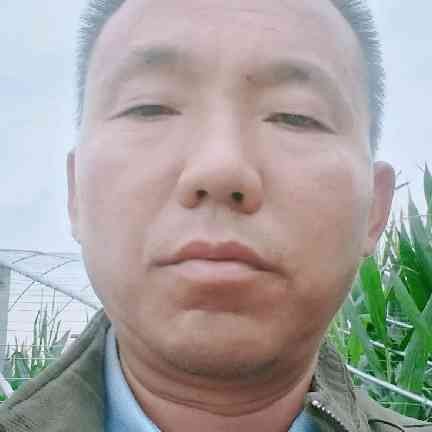 大门老实：的照片