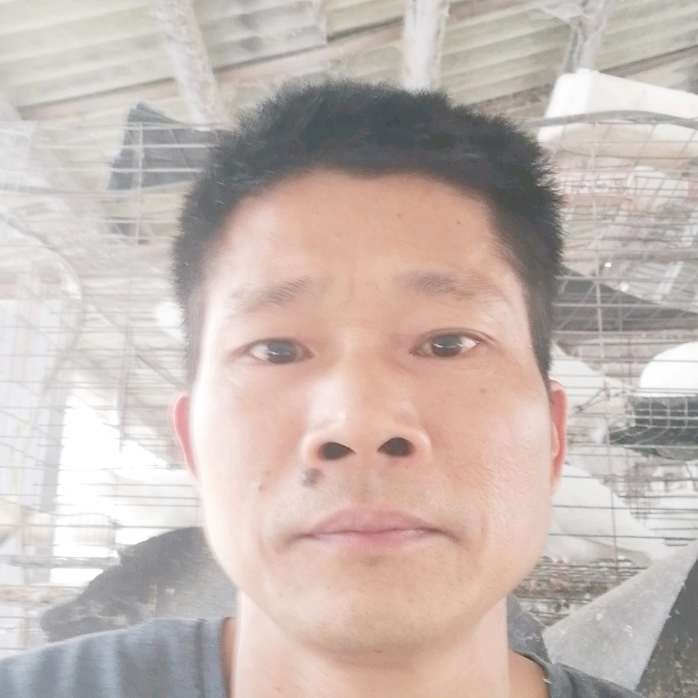 健壮扯霓裳的照片