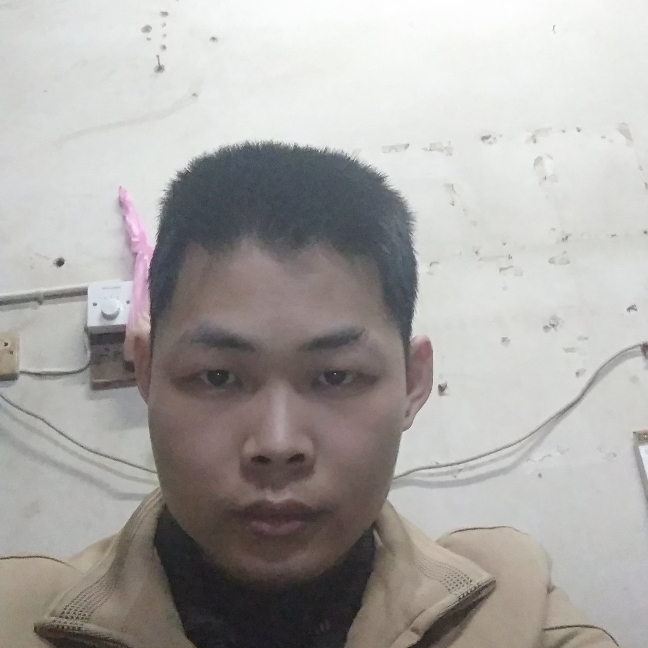多尼的照片