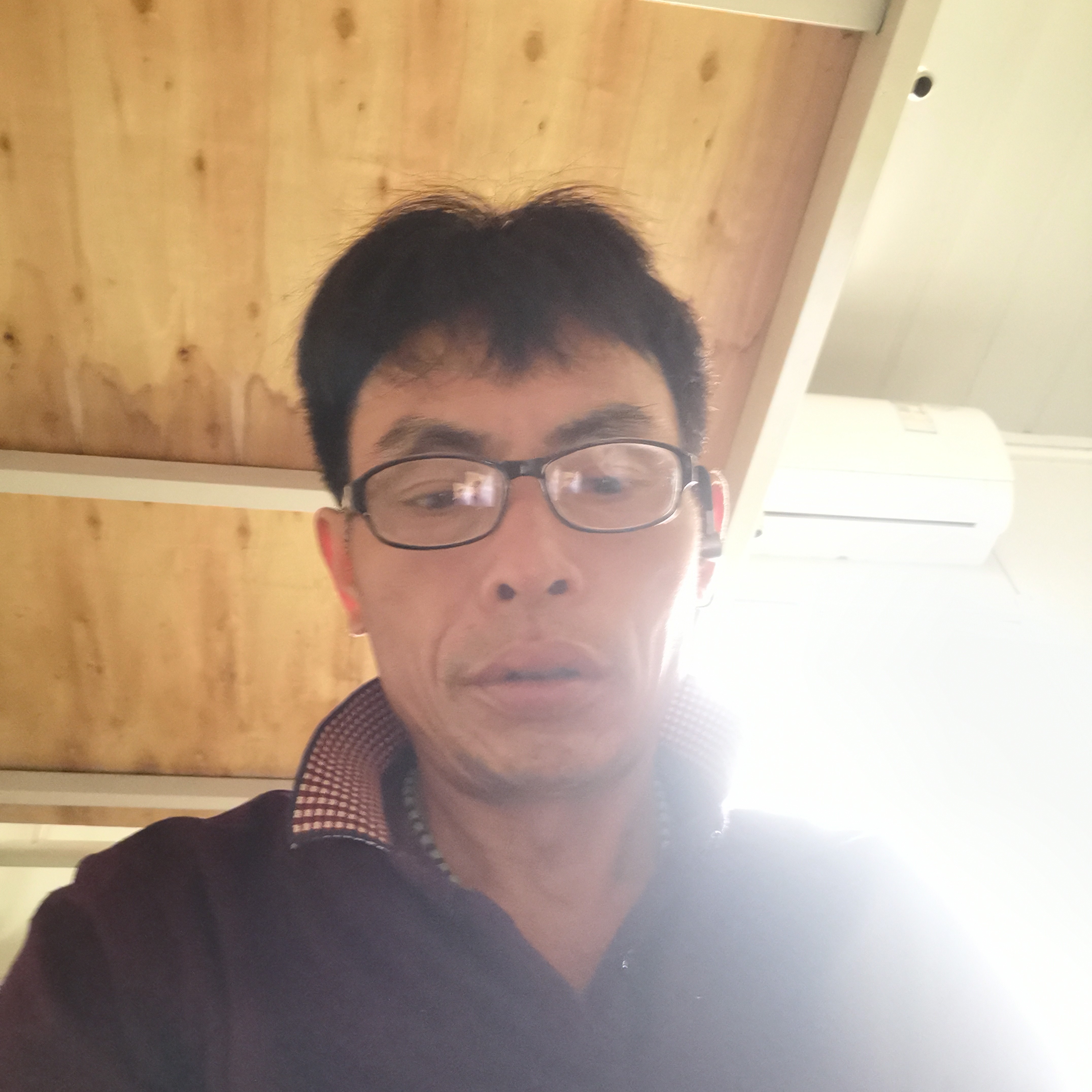 欢呼請树叶的照片