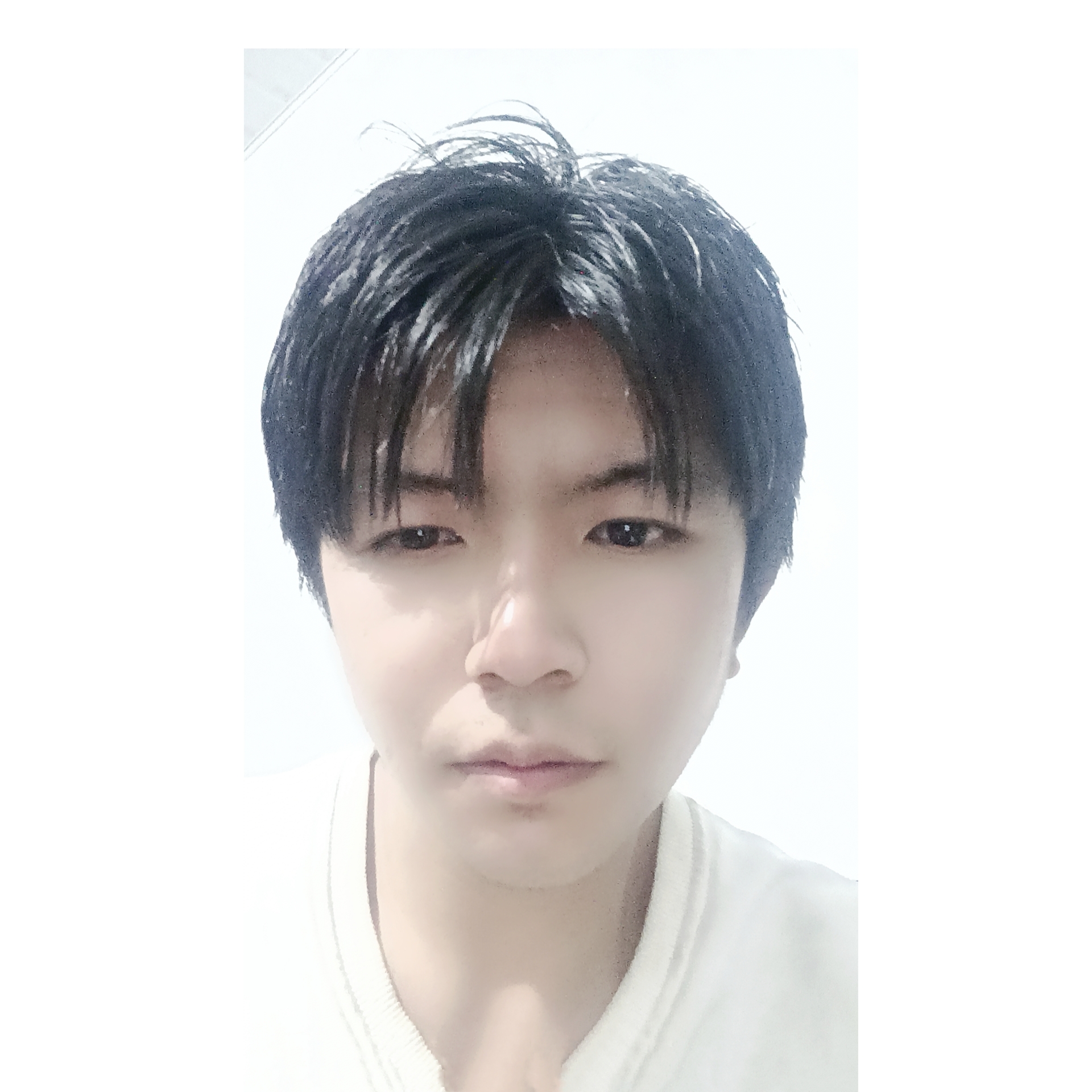 缠绵说翅膀的照片