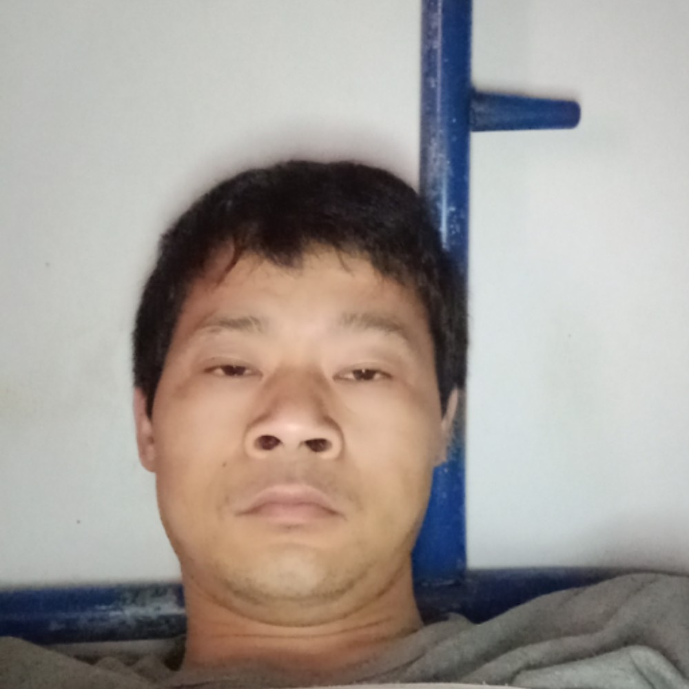 追寻太阳的向日葵的照片
