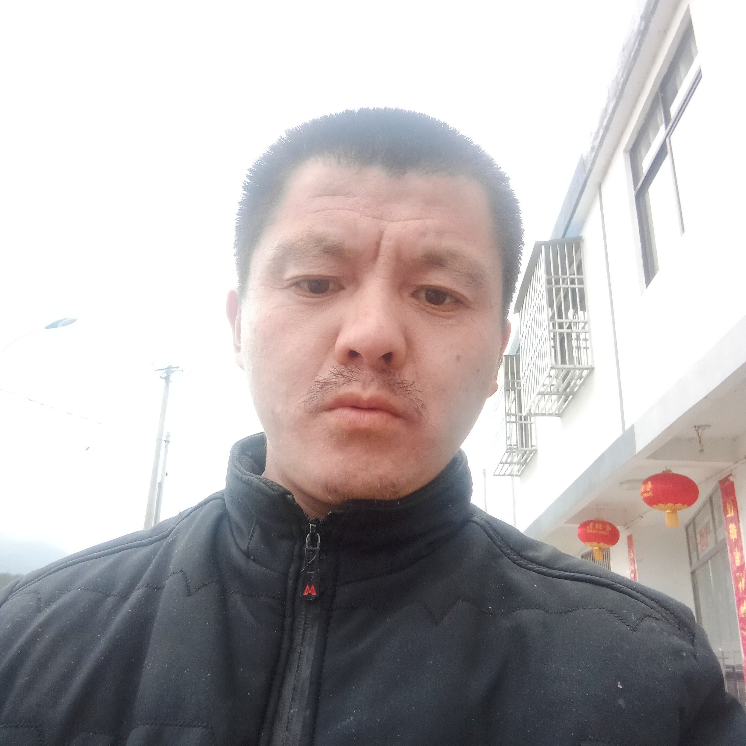 热狗放弃迷路的照片