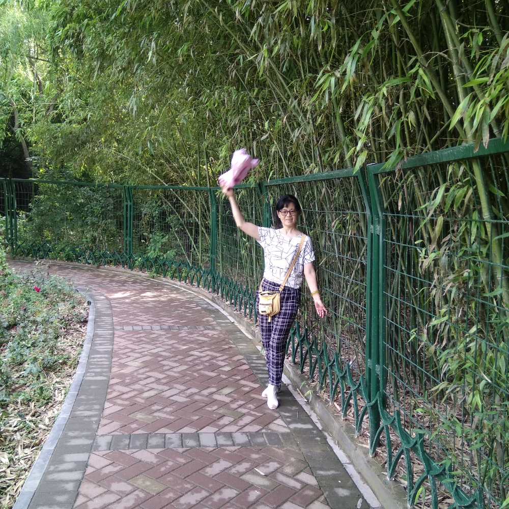 小蚂蚁呆萌的照片