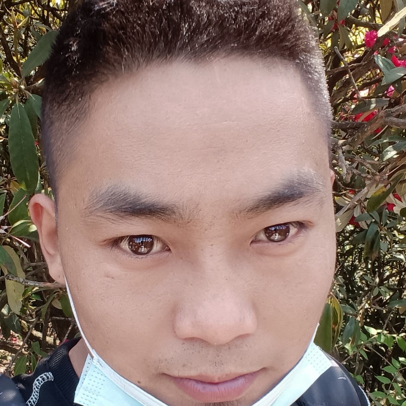 红尘停止平淡的照片
