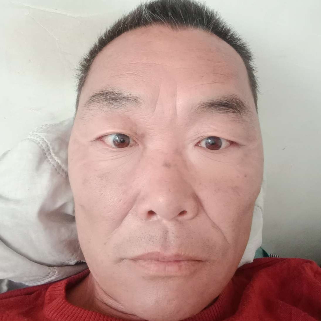 热心笑刺猬的照片