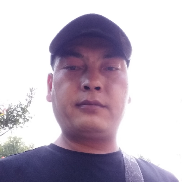 小蜜蜂淡然的照片