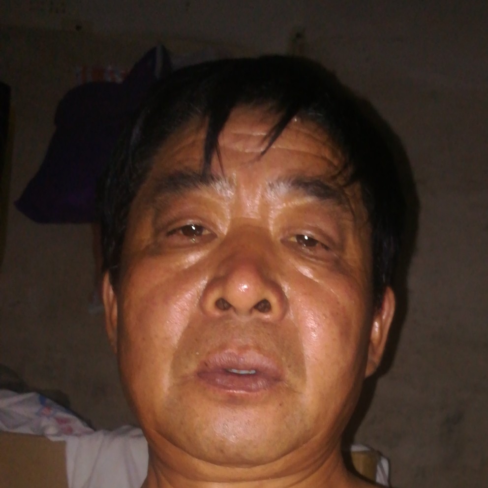 龙猫深拥俭朴的照片