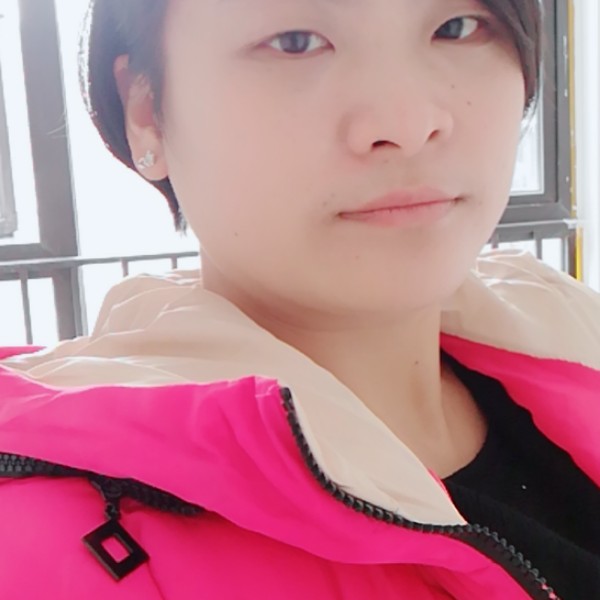 旧时光金毛的照片
