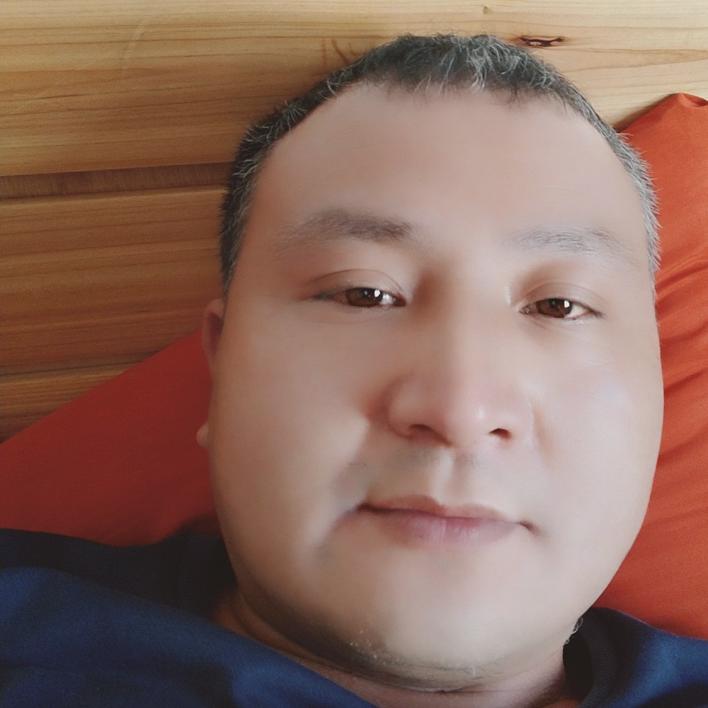 明理凝眸海燕的照片