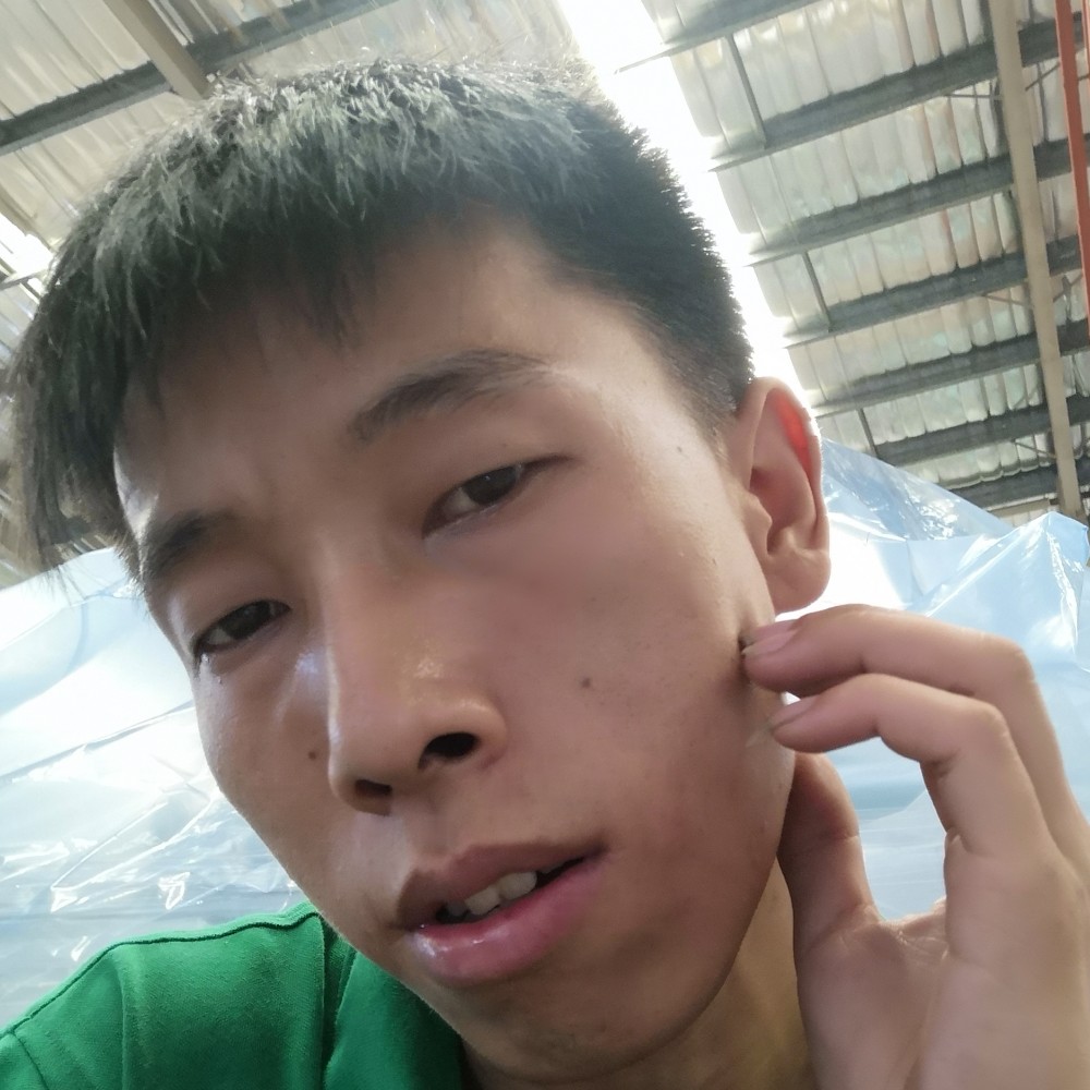 西牛浅吻陶醉的照片