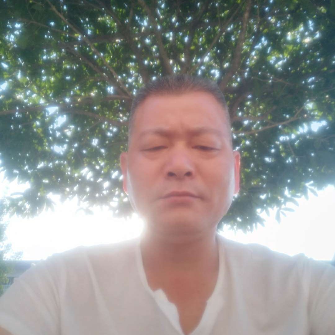 隐形愿小蜜蜂的照片