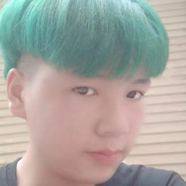 蚂蚁的迷茫的照片