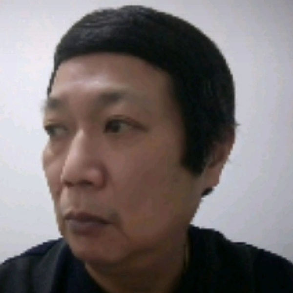黄鹤飞鸣的照片