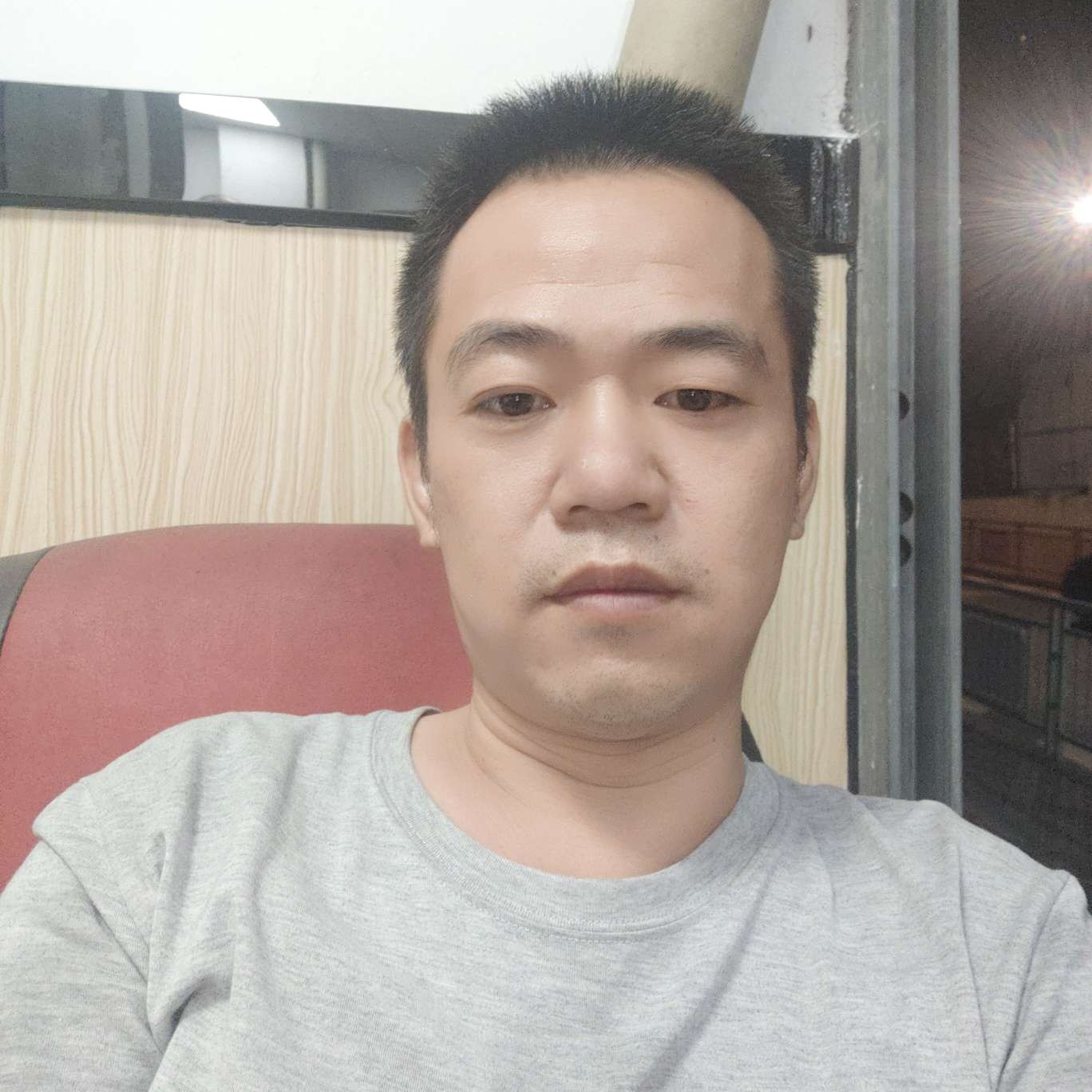 斑马相许淡然的照片