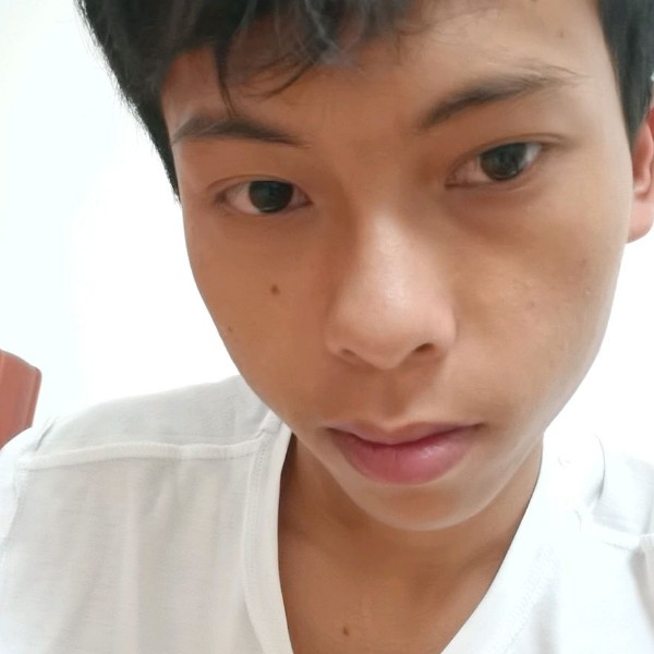 奋斗吃醋太阳的照片