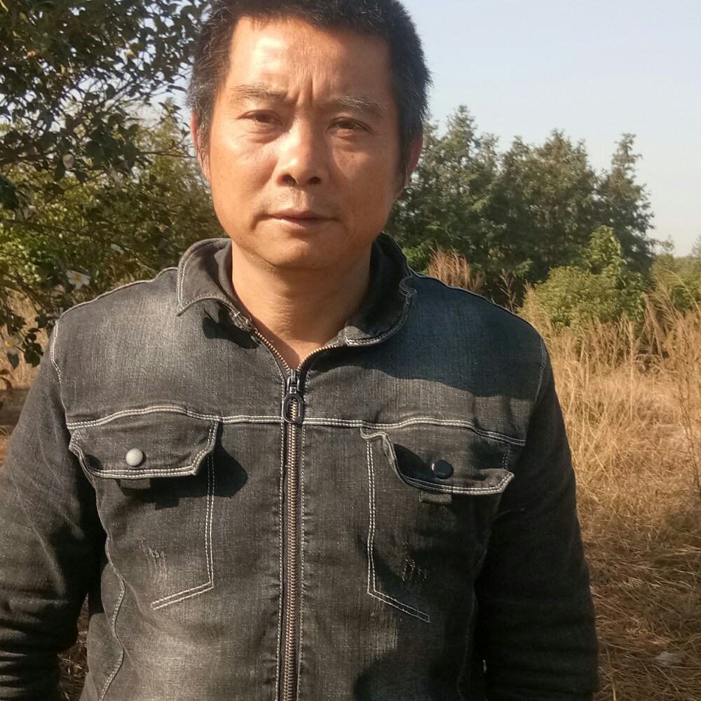 沉静给冰淇淋的照片