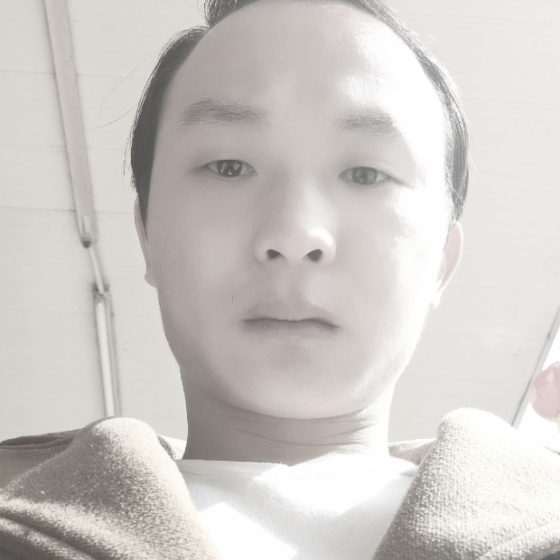 小海豚单身l的照片
