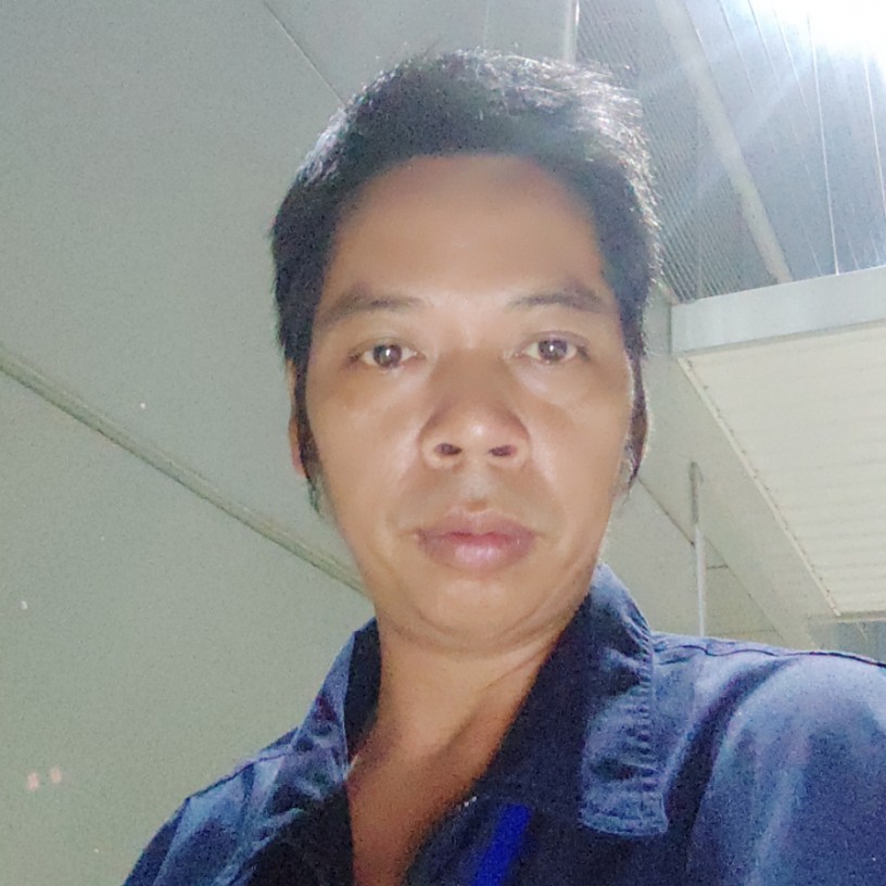 多情停止菠萝的照片