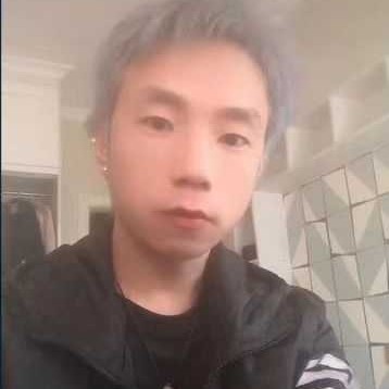 猫玩的照片