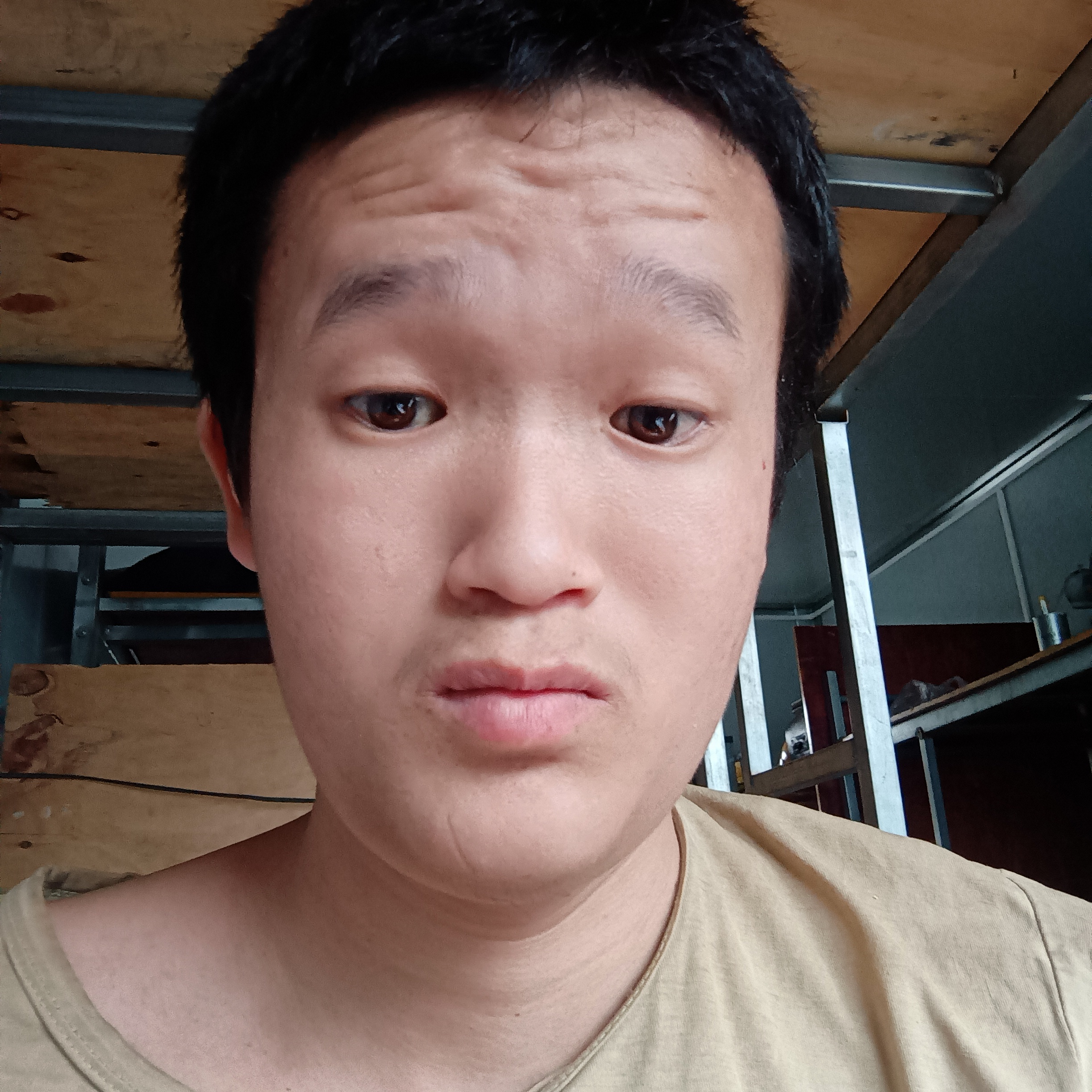 王世强的照片