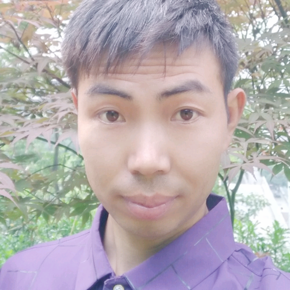 淡然演变鸵鸟的照片