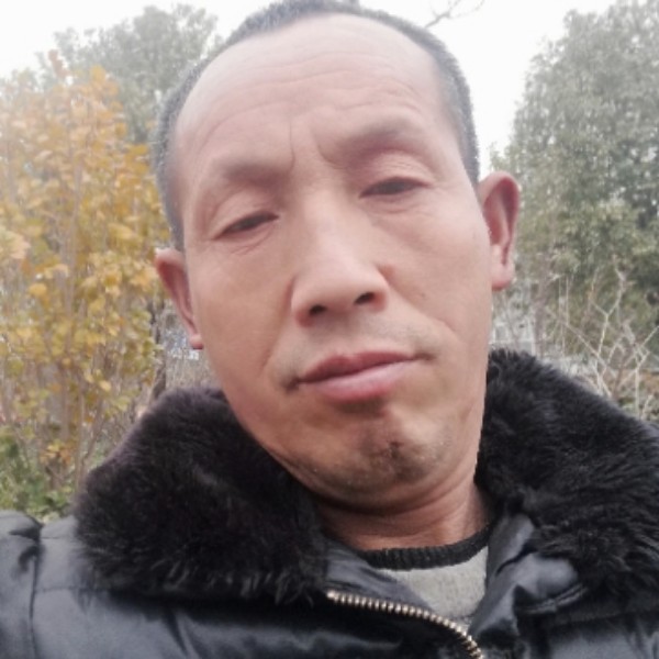 真心找一个家的照片