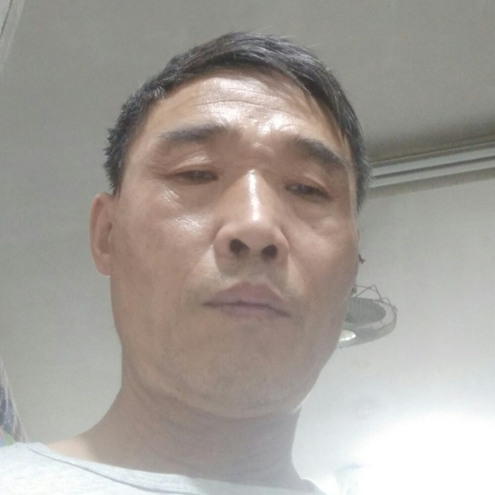 黑猫爱恋踏实的照片