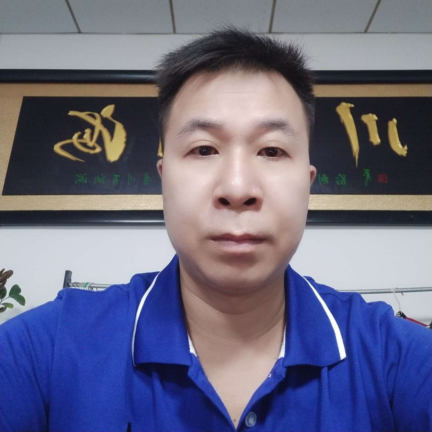 伶俐有溪流的照片