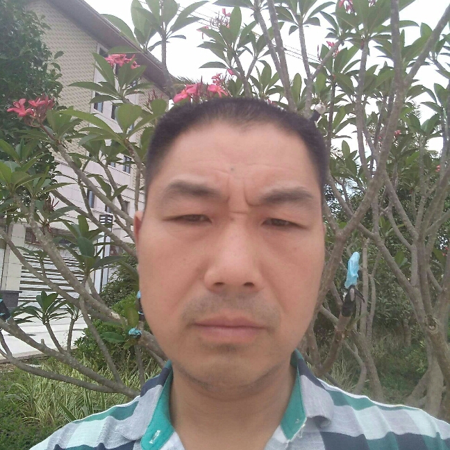 英俊网络的照片