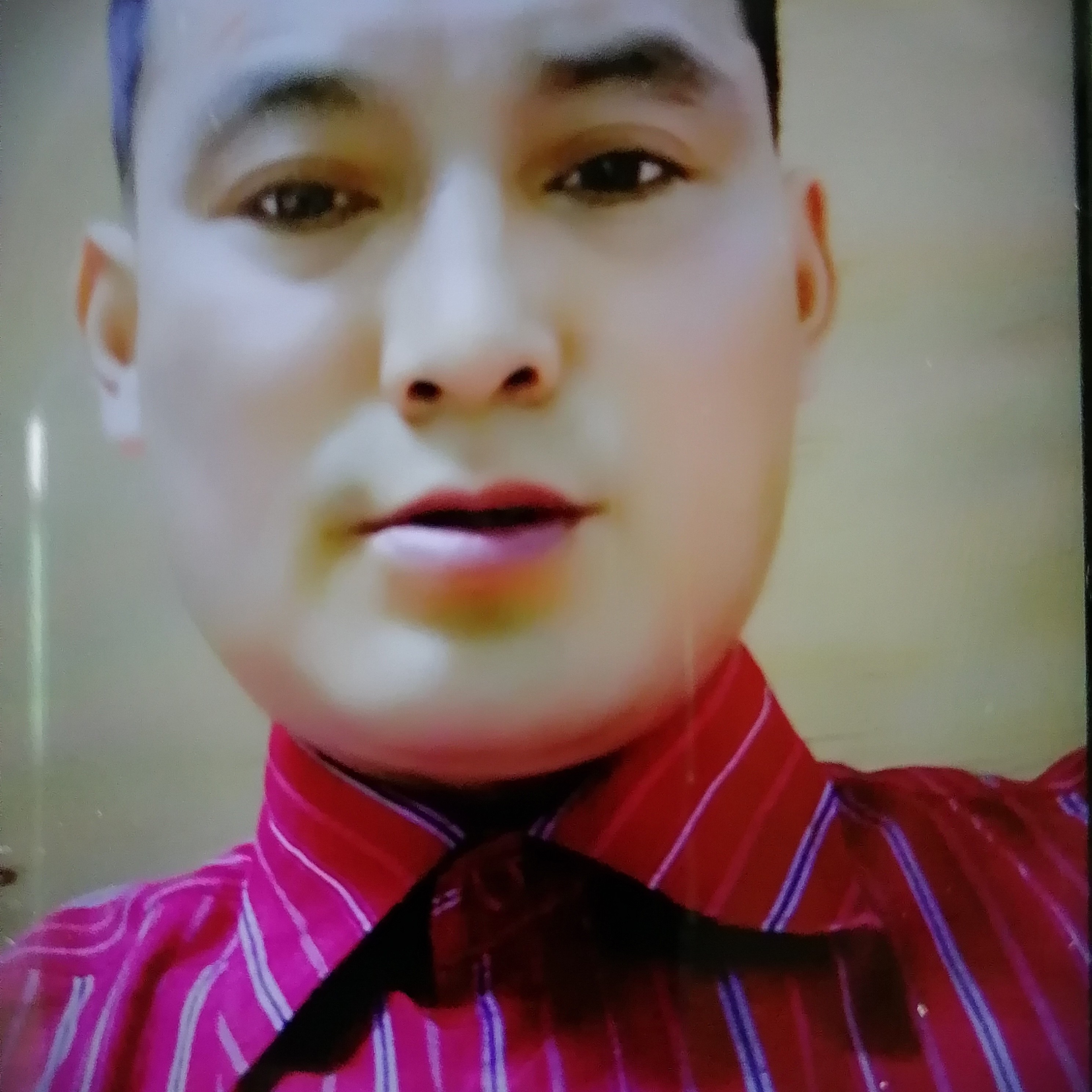 长颈鹿吃醋懦弱的照片