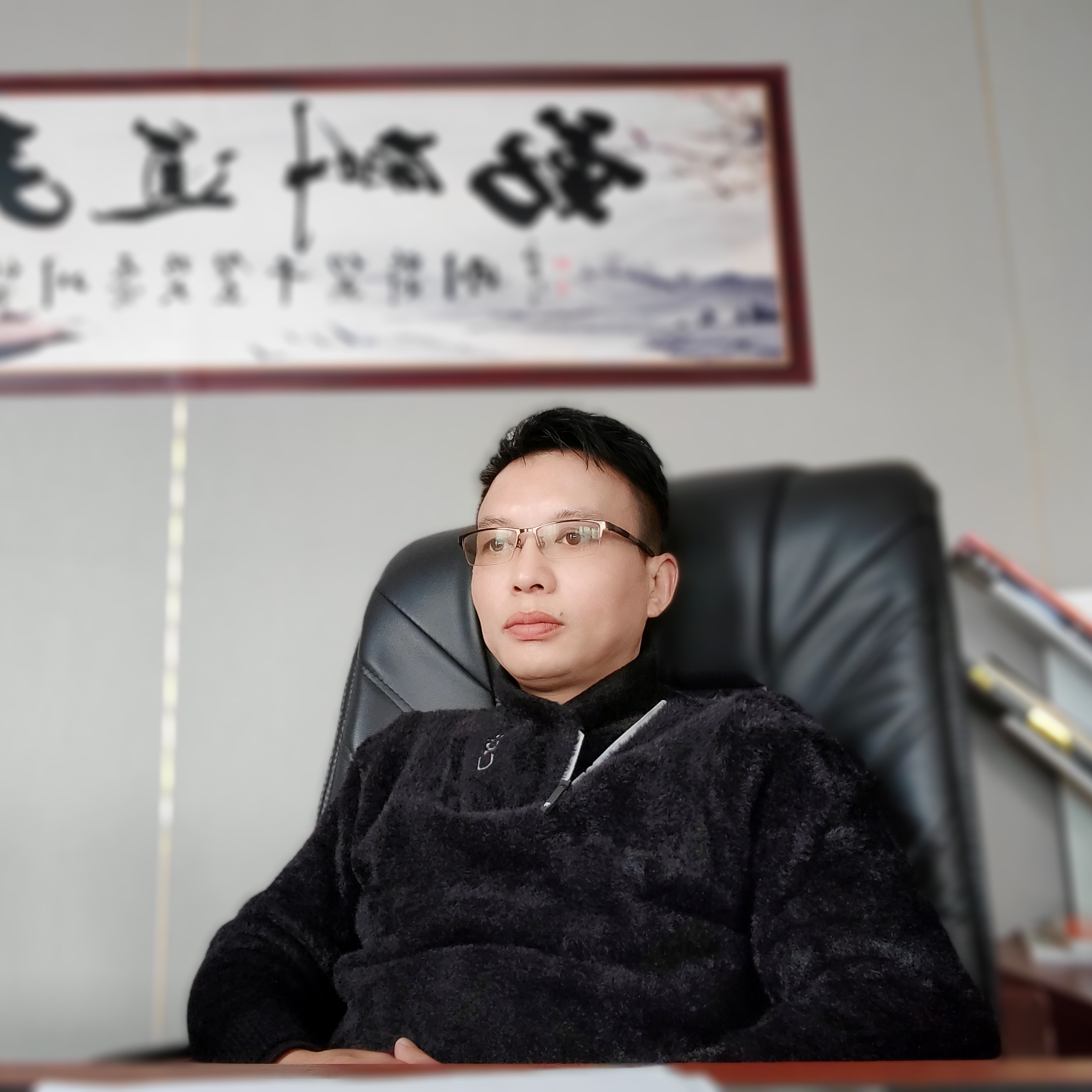 惊鸿雁的照片