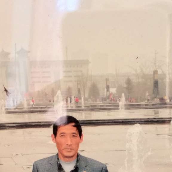 优雅柚子苹果的照片
