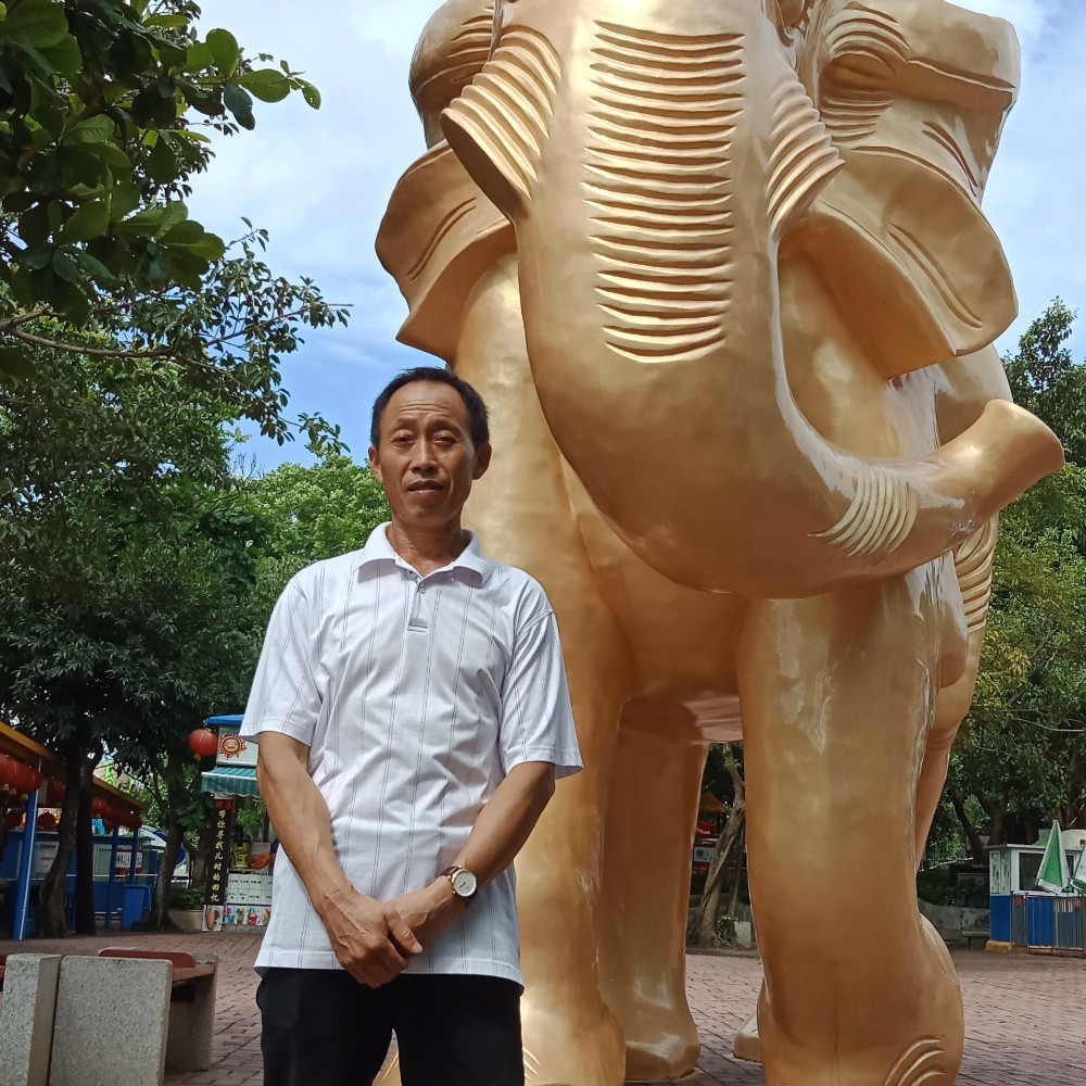 能干笑鸡的照片