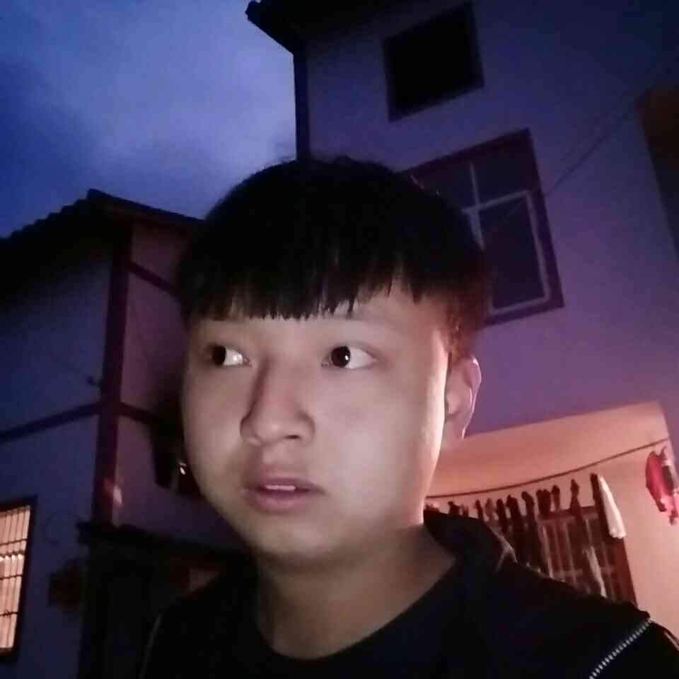 惊鸿多么缓慢的照片