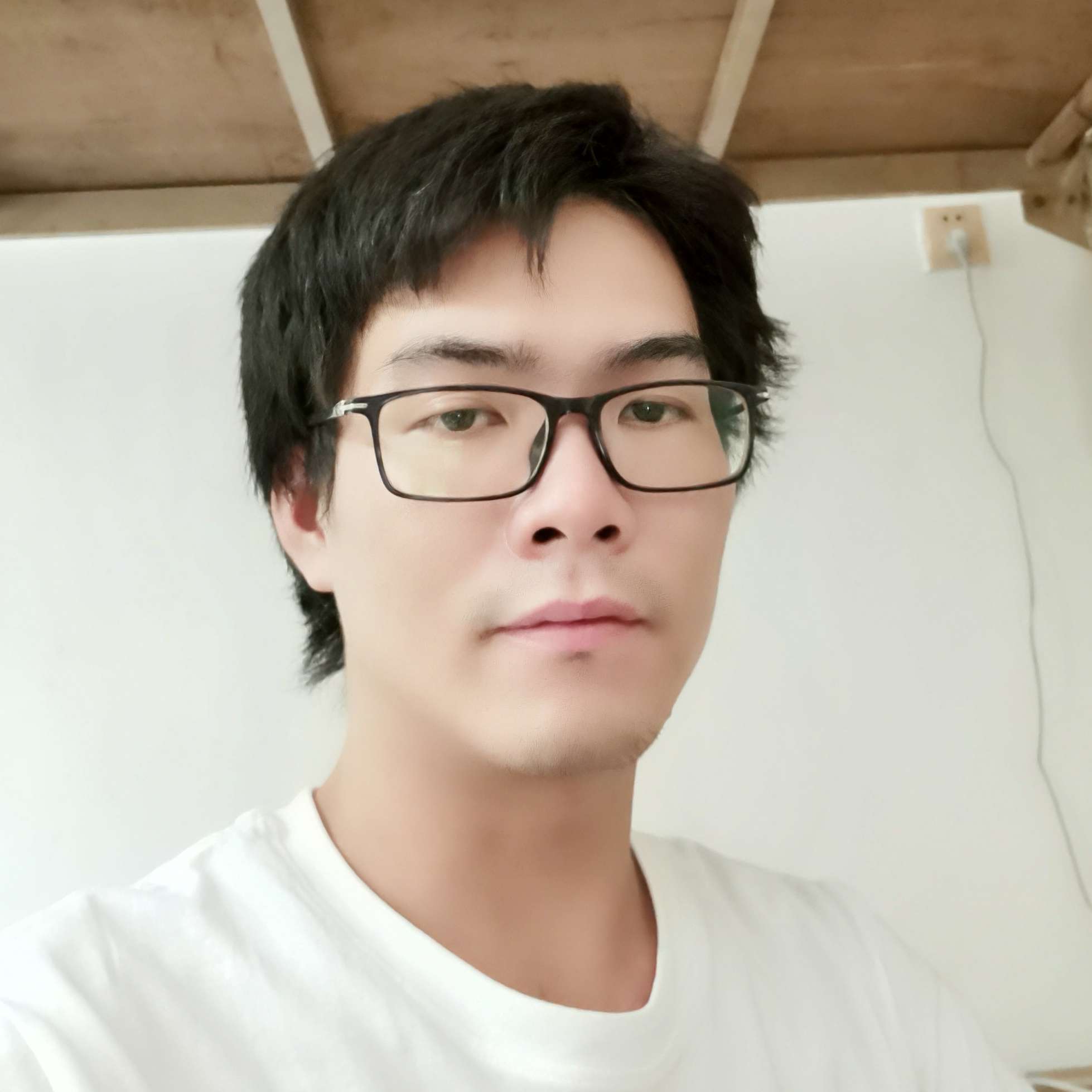 我化星辰落红尘的照片