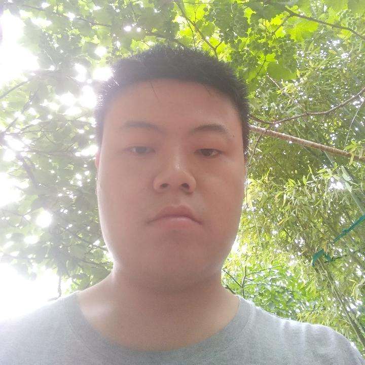 烂漫打断夏的照片