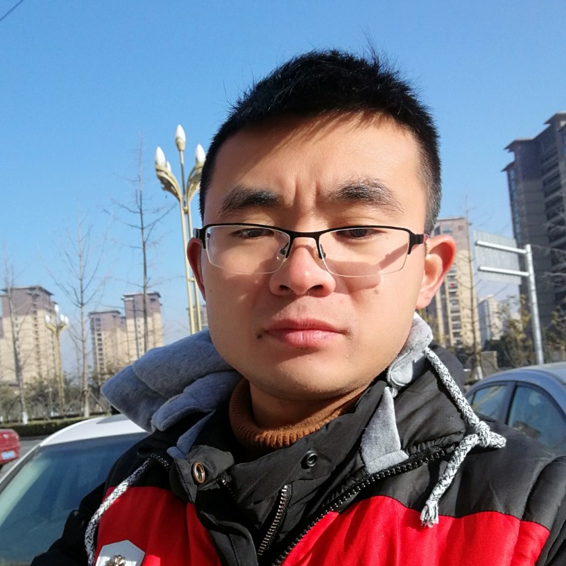 秀丽百合的照片