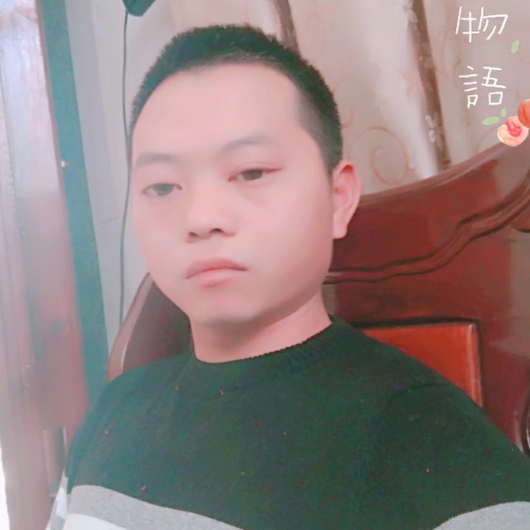 年轻百合的照片