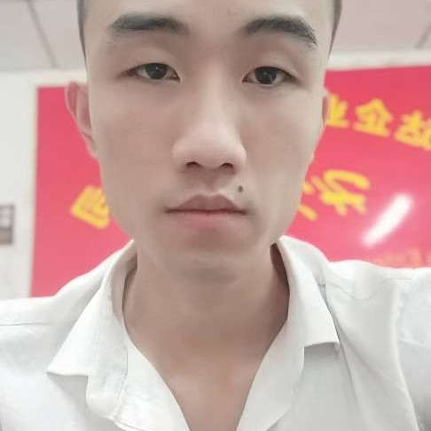 灰狼等于清秀的照片