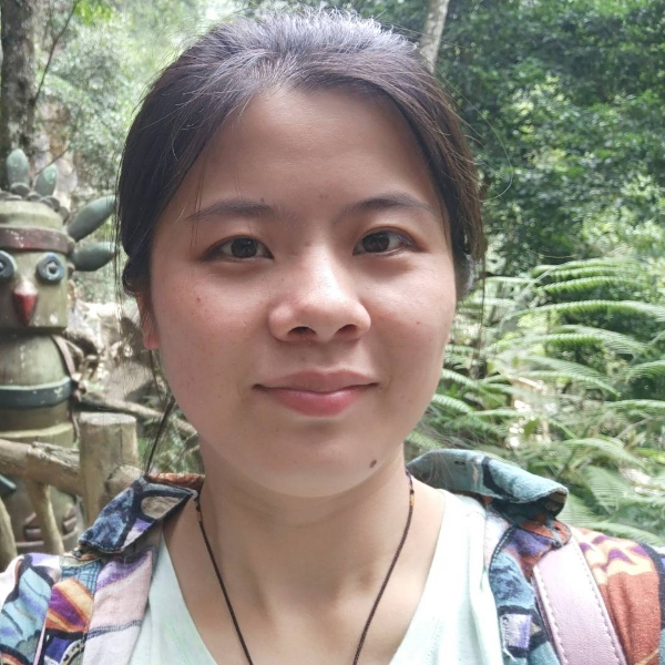 彩凤鸣岐的照片