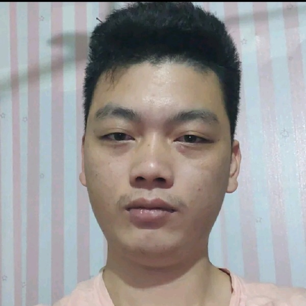 鹿力的照片