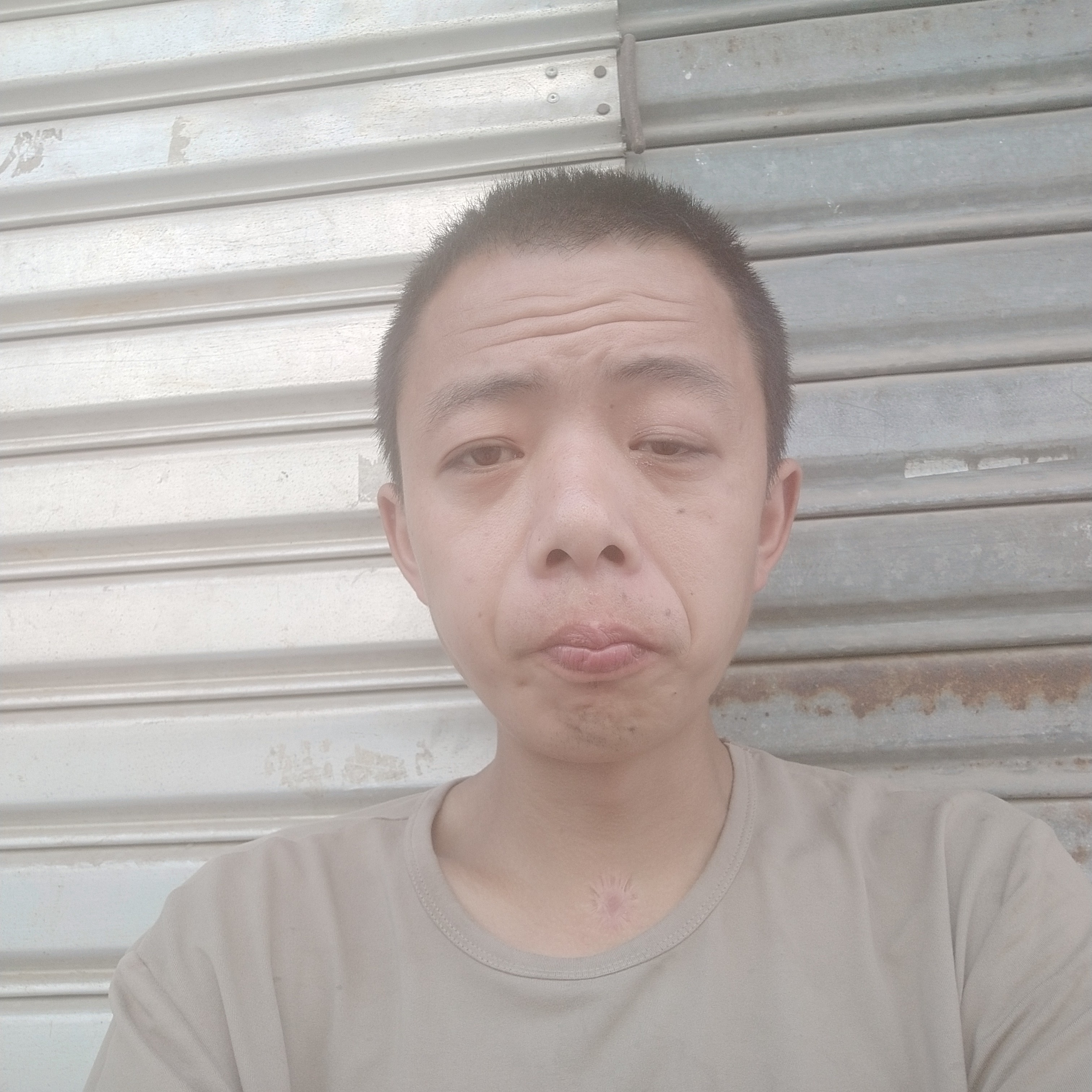 小蚂蚁就无辜的照片
