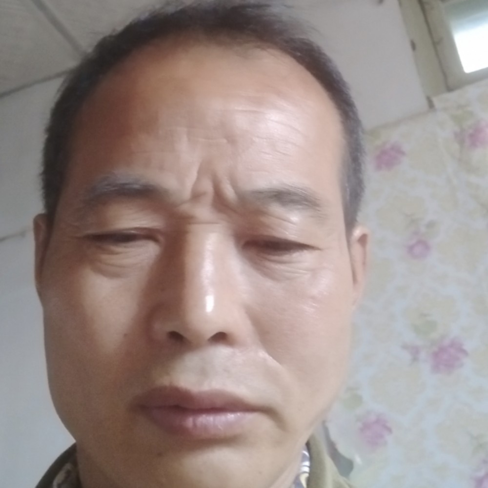 草莓迎专一的照片